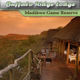 Buffalo Ridge Safari Loge