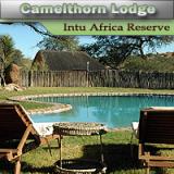 Camelthorn Kalahari Lodge - Intu Africa Wildreservaat