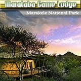 Marataba Wildloge