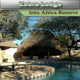 Zebra Kalahari Lodge - Intu Africa Game Reserve