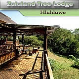 Zululand Tree Loge