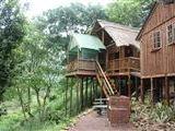 Treehouse Rivier Lodge