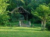 Udzungwa Forest Camp (Hondo Hondo)