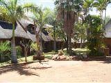 Siesta Guest House Musina