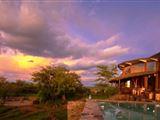 Serengeti Simba Loge