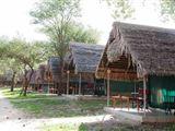 Tarangire Safari Loge