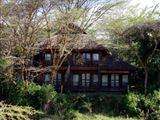 Mara Simba Lodge