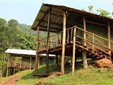 Gorilla Conservation Camp