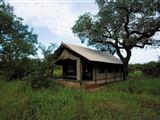 Honeyguide Tented Safari Camp - Khoka Moya