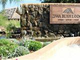 Ziwa Bush Loge