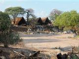 Mwagusi Safari Camp