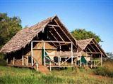 Ikoma Wild Camp & Cottages