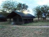 Serengeti Wild Camp