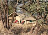 Serengeti North Wilderness Camp