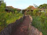 Ngorongoro Forest Tented Loge