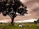 Legendary Serengeti Camp