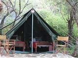 Maasai Simba Camp