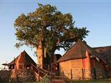 Rift Valley Photographic Lodge