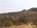 Letaba Safari Lodge