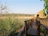 Marloth Park Bona Ngwenya Lodge