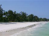 Diver's Village - Diani Beach