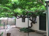 Starry Nights Karoo Cottages