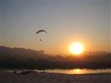 Bondi Beach No 11