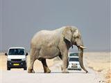 9 Night Culture & Wildlife in Northeastern Namibia Package