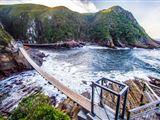 3 Night Garden Route Tour (PE tot CPT)