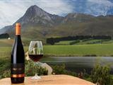 1 Day Best of Hemel-en-Aarde Wine Tour