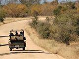 3 Day Kruger Experience Loge-Treehouse