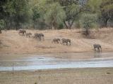 Thornicroft Lodge, South Luangwa - Zambia