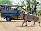 2 Night, 3 Day Tented Lodge Kruger Safari