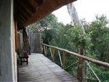 3 Night, 4 Day Marc's Treehouse Kruger Safari