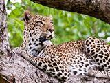 2 Night Thaba Khaya Safari Package