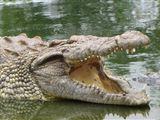 Elmolo Crocodile Park en Lodge