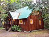 Mt. Baker Rim Cabin #32