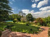 Tranquil Lush Landscaped Garden