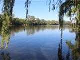 Vaal River Lover's Nest