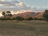 Feracare Wildlife Centre