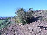 Blouhuis Farm Zelf-Zichricht Cottage - Ladismith - Western Cape