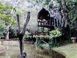 Serenity Mountain and Forest Lodge