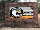 Kruger Wild dog Inn unit 3