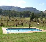 Thaba Manzi Ranch