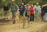 Tshukudu Game Lodge