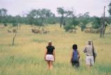 Tanda Tula Safari Camp