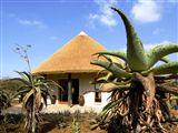 Ubizane Zululand Safari Loge