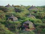 Serengeti Serena Safari Loge