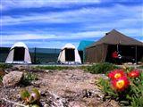 Namaqua Silver Sands