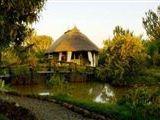 Mbweha Safari Camp